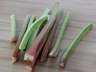 rhubarb