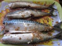 Aufgetauten Makrelen waschen und mit der Mischung...