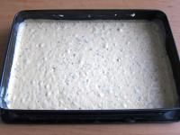 Ein Backbleich, oder eine Backform 40x25 cm mit...