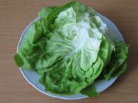 Salatblätter ebenfalls waschen, etwas kleiner...