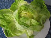 Den Salat waschen und abtropfen lassen. ...