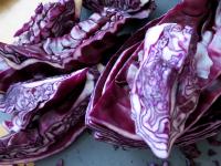 Rotkohl waschen, in kleine Stücke schneiden......