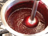 Das ausgekühlte Obst mit Stabmixer zermixen....